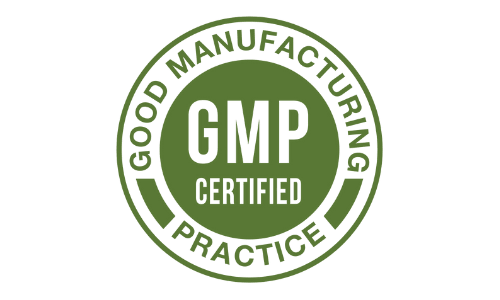 VisiActive GMP Certified